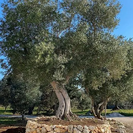 Holiday home Trullo Nostress
